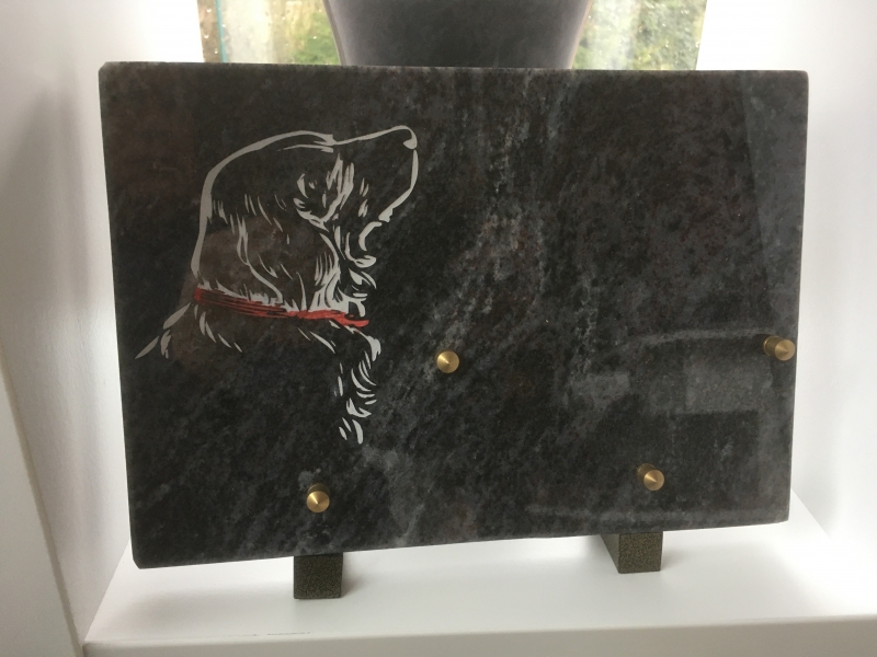 Plaque chasse