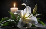 lys et bougie (1)